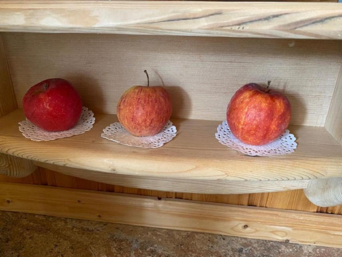 Alpenappartements Schwalbennestl Mittenwald Εξωτερικό φωτογραφία