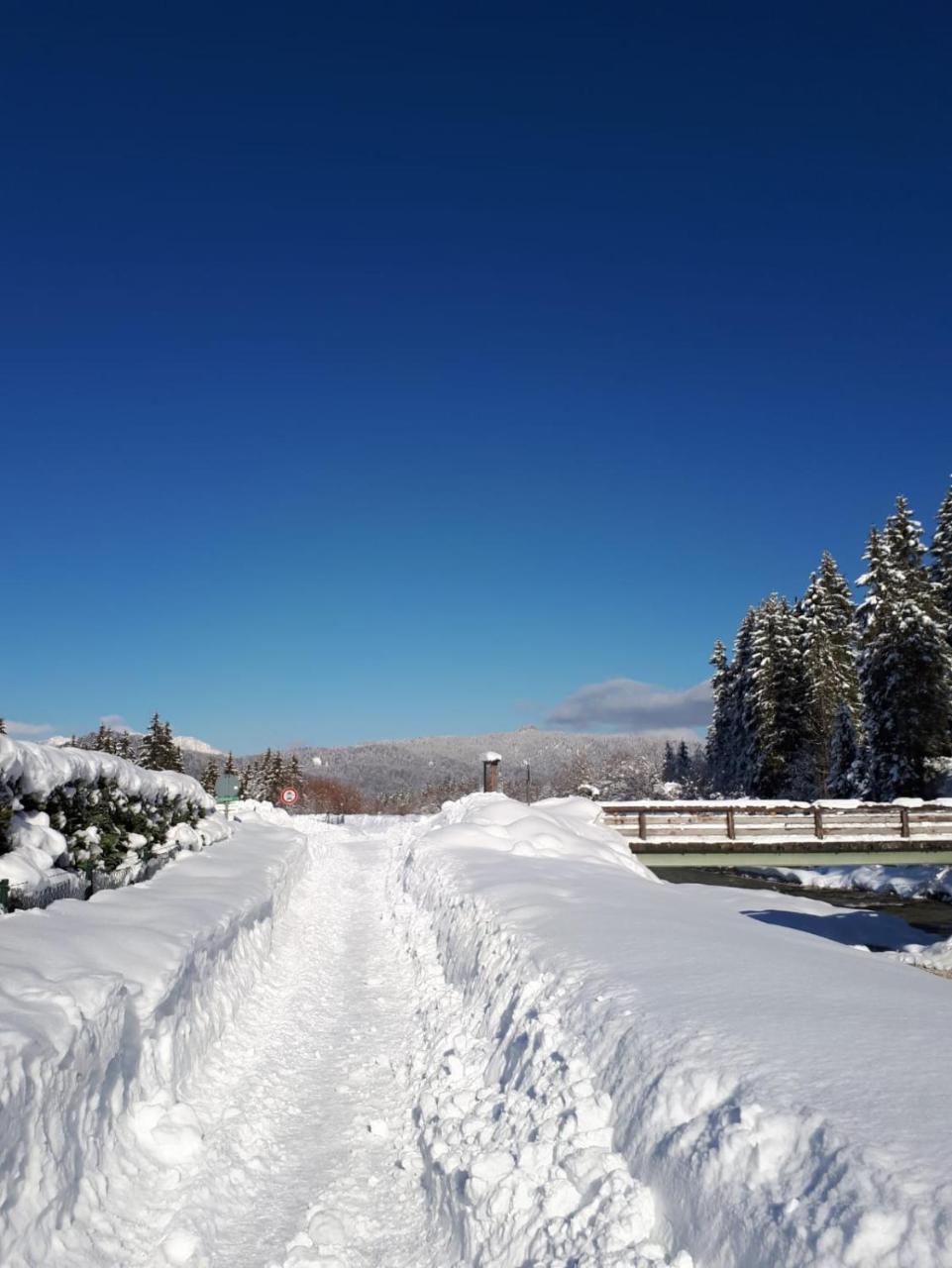 Alpenappartements Schwalbennestl Mittenwald Εξωτερικό φωτογραφία
